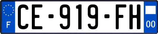 CE-919-FH