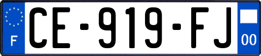 CE-919-FJ