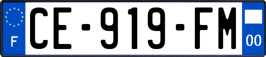 CE-919-FM