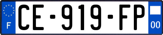 CE-919-FP