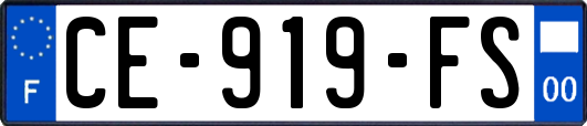 CE-919-FS