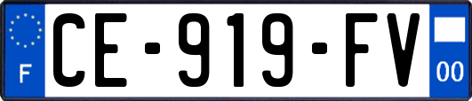 CE-919-FV