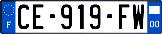 CE-919-FW