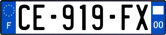 CE-919-FX