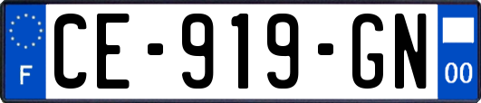 CE-919-GN