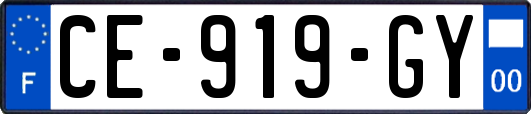 CE-919-GY