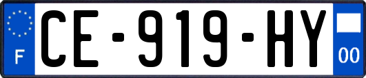 CE-919-HY