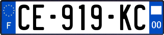 CE-919-KC