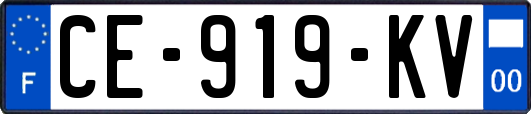 CE-919-KV