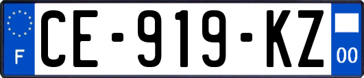 CE-919-KZ