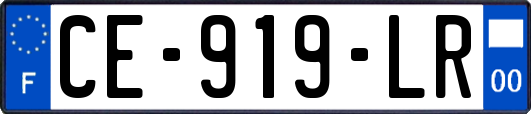 CE-919-LR