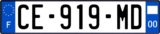 CE-919-MD
