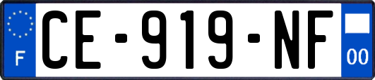 CE-919-NF