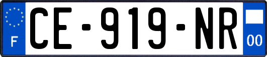 CE-919-NR