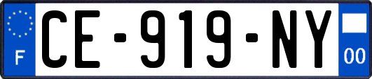 CE-919-NY
