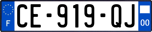 CE-919-QJ