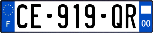 CE-919-QR