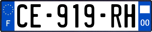 CE-919-RH