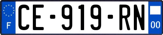 CE-919-RN