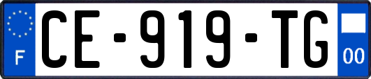 CE-919-TG