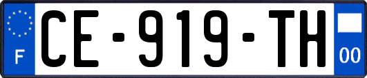 CE-919-TH
