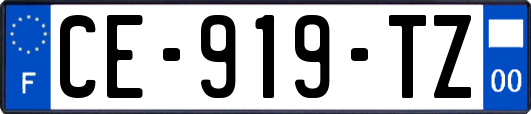 CE-919-TZ
