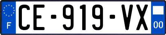 CE-919-VX
