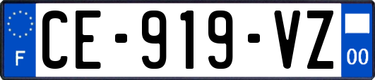 CE-919-VZ