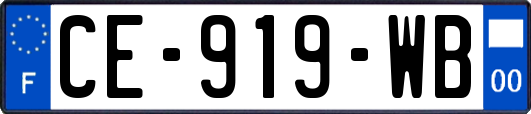 CE-919-WB