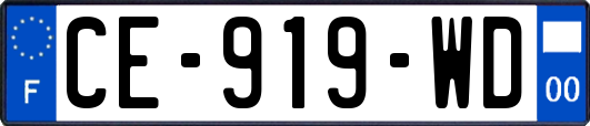CE-919-WD