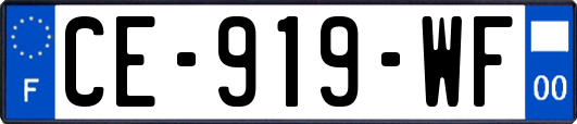 CE-919-WF