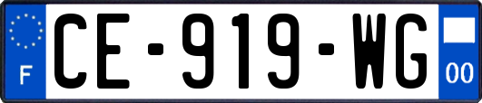 CE-919-WG