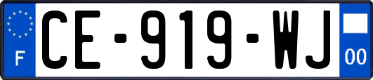 CE-919-WJ