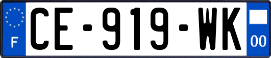 CE-919-WK