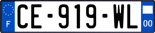 CE-919-WL