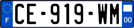 CE-919-WM