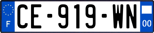 CE-919-WN