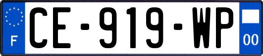 CE-919-WP