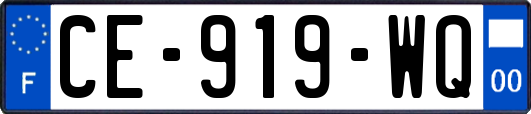 CE-919-WQ