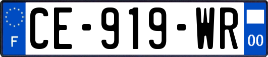CE-919-WR