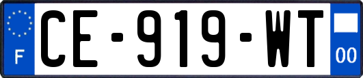 CE-919-WT