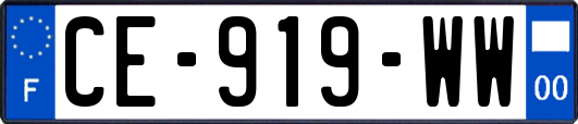 CE-919-WW