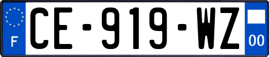 CE-919-WZ