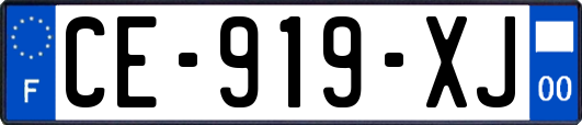 CE-919-XJ