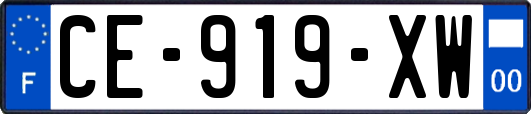 CE-919-XW
