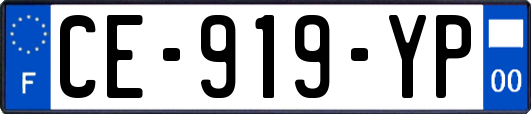 CE-919-YP