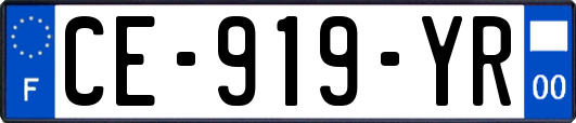 CE-919-YR