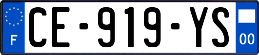 CE-919-YS