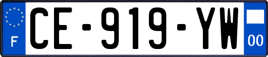 CE-919-YW