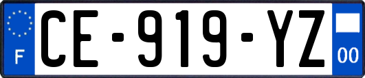 CE-919-YZ